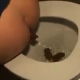 A girl with a weak chin takes a dump on camera in 2 separate scenes. The first scene features her shitting onto a plate, and the second shows her pooping on the toilet.